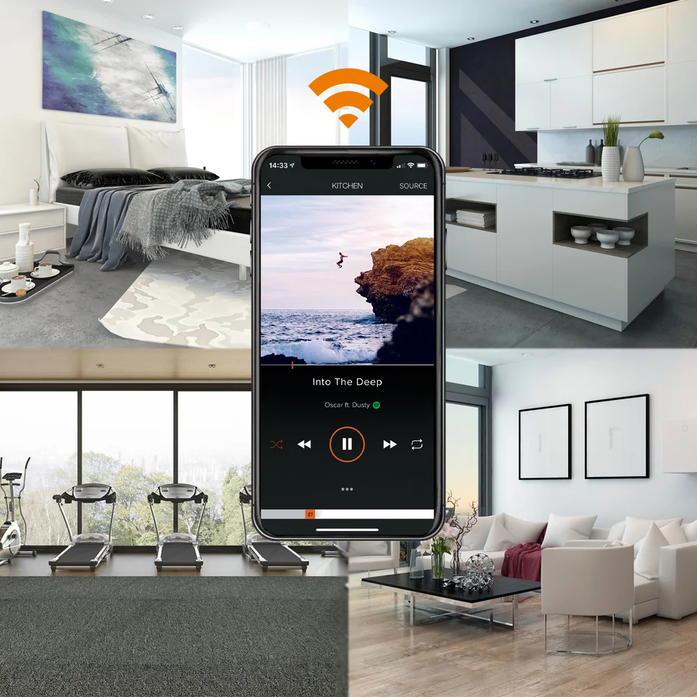 Altavoz de techo wifi